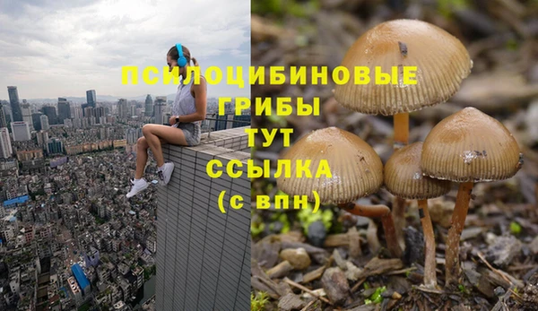 мескалин Аркадак