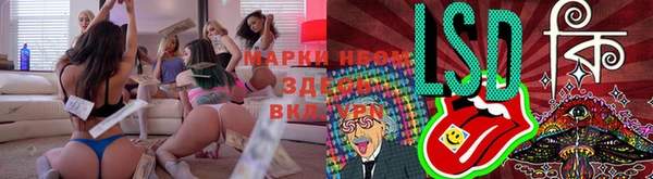 экстази Покачи